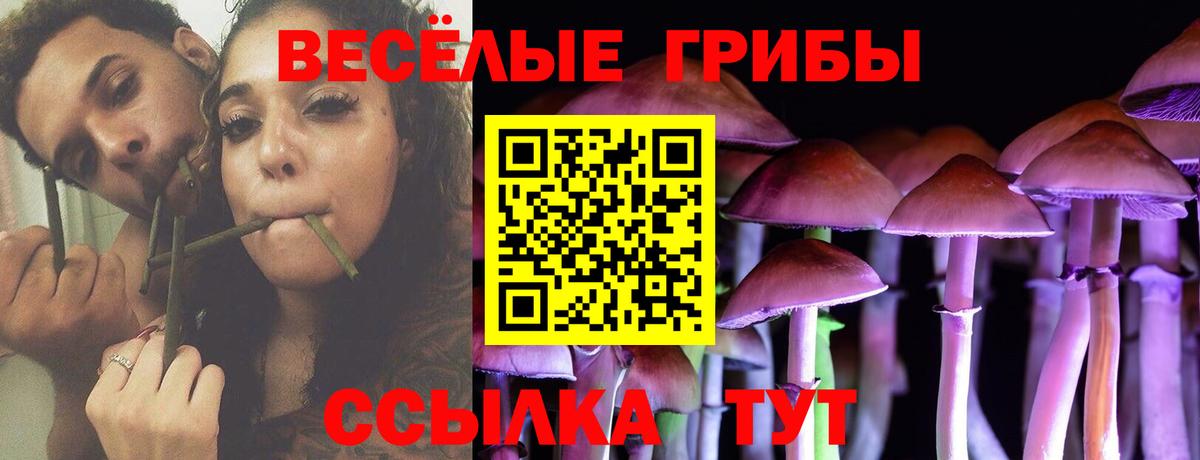 Галлюциногенные грибы мицелий Лесосибирск
